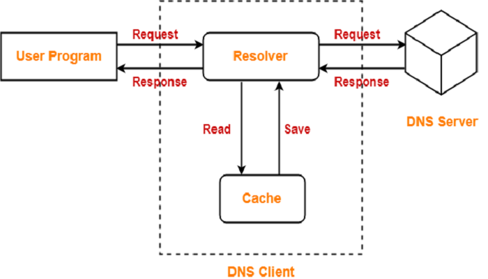 DNS در شبکه